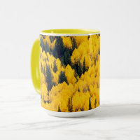 White River National Forest | Aspen, Colorada