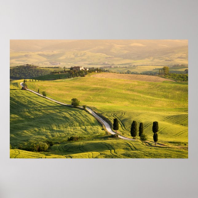White road in Tuscany landscape poster (Vorne)