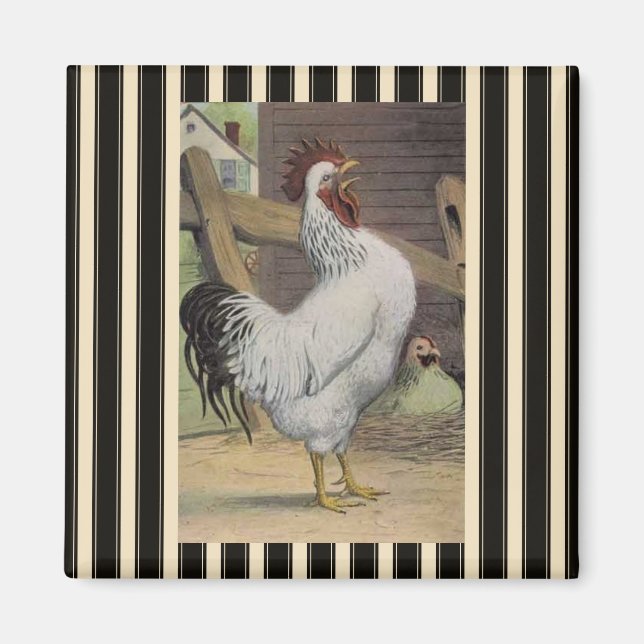White Rooster Hen Kühlschrankmagnet Magnet (Vorne)