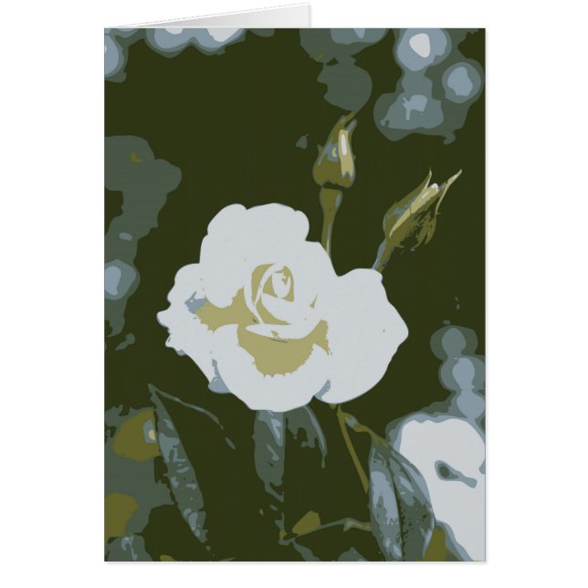 White Rose (Vorne)