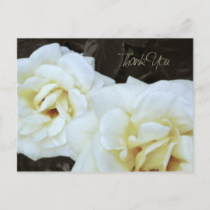 White Rose Blume   Vielen Dank Postkarten