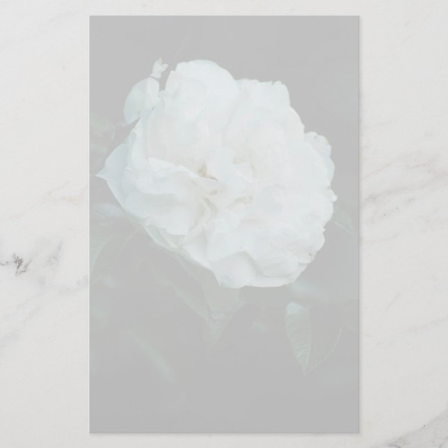 White Rose Briefpapier (Vorderseite)