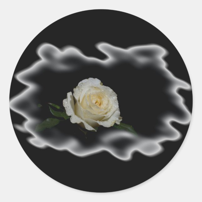 White Rose Burned Edges Runder Aufkleber (Vorderseite)