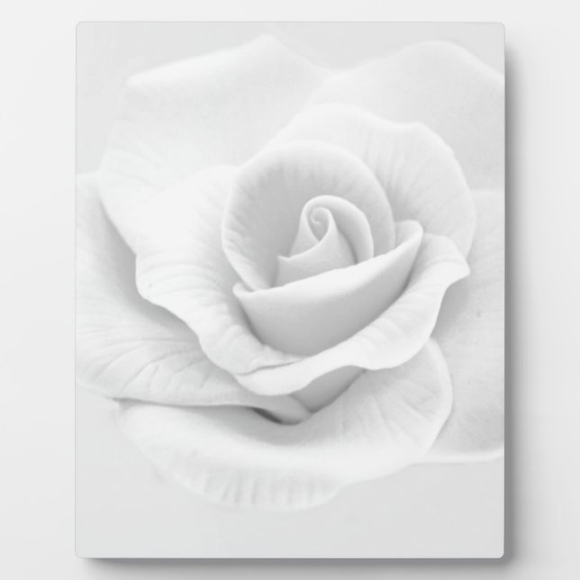 White Rose Fotoplatte (Vorderseite)