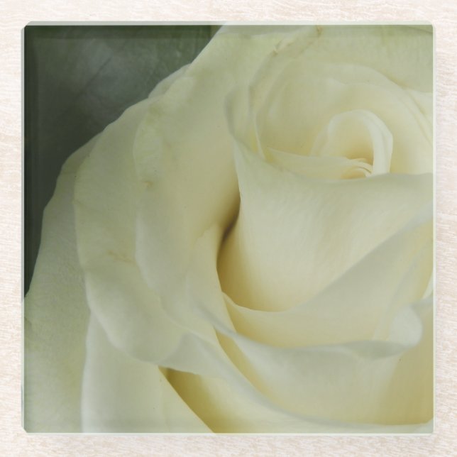 White Rose Glasuntersetzer (Vorderseite)