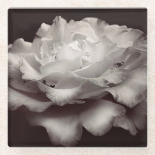 White Rose Glasuntersetzer