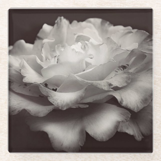 White Rose Glasuntersetzer (Vorderseite)