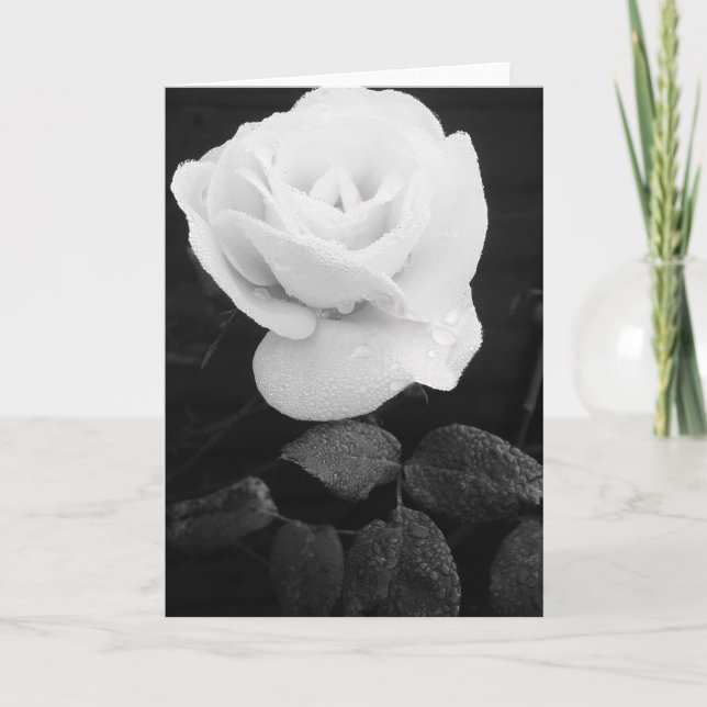 White Rose Karte (Vorderseite)