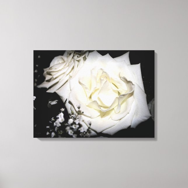 White Rose Leinwand (Vorderseite)