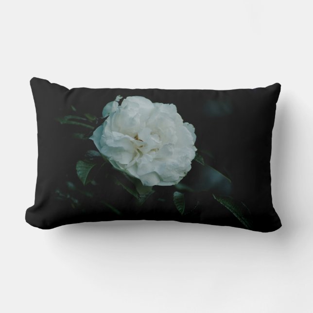 White Rose Lendenkissen (Vorderseite)
