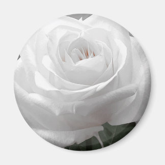 White Rose Magnet