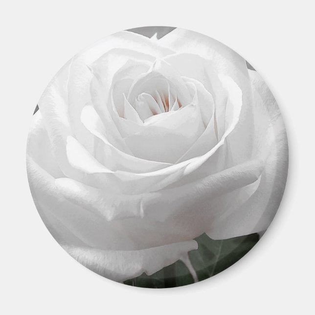 White Rose Magnet (Vorne)