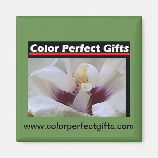 White Rose Magnet (Vorne)