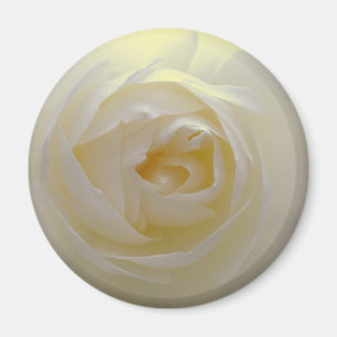 White Rose Magnet Blume gibt Keepake Dekoration
