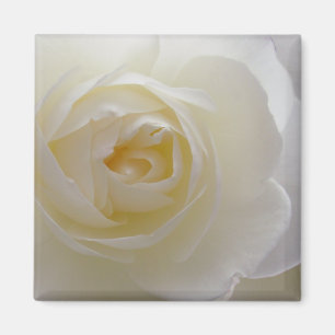 White Rose Magnet Blume gibt Keepake Dekoration