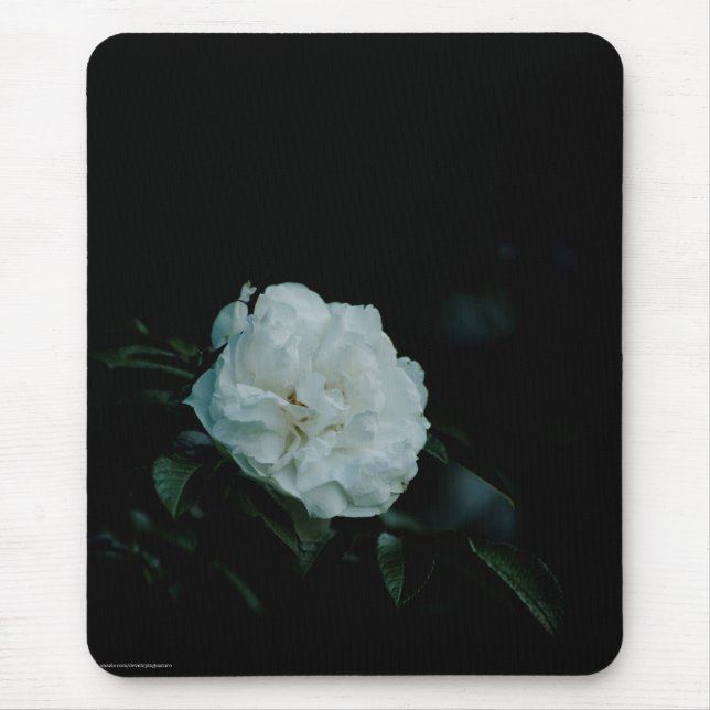 White Rose Mousepad (Vorne)