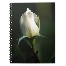 White Rose Notizblock