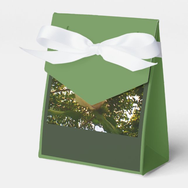White Rose Ribbon-Geschenk Geschenkschachtel (Vorderseite)