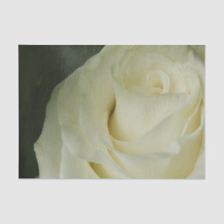 White Rose Seidenpapier