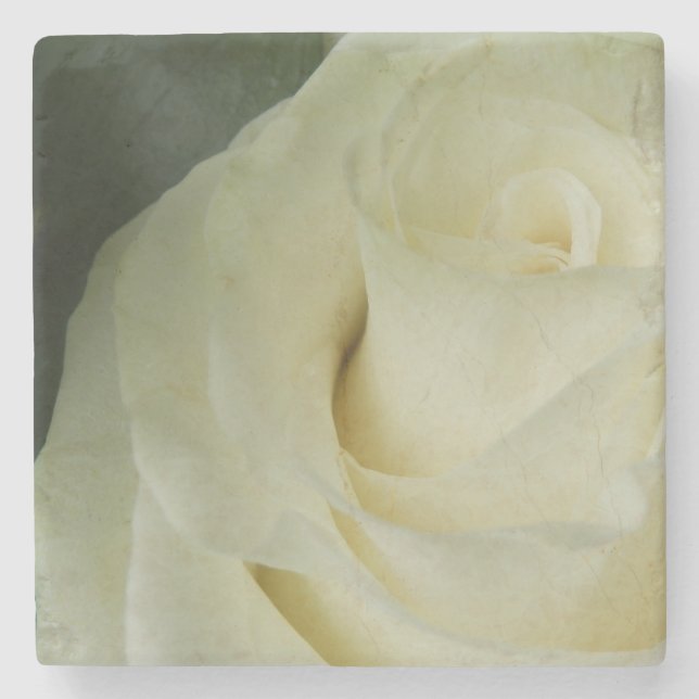 White Rose Steinuntersetzer (Vorderseite)