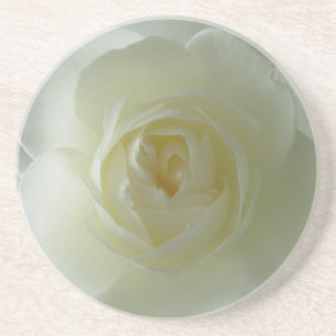 White Rose Untersetzer Sunny Rose gibt Keepake Dec