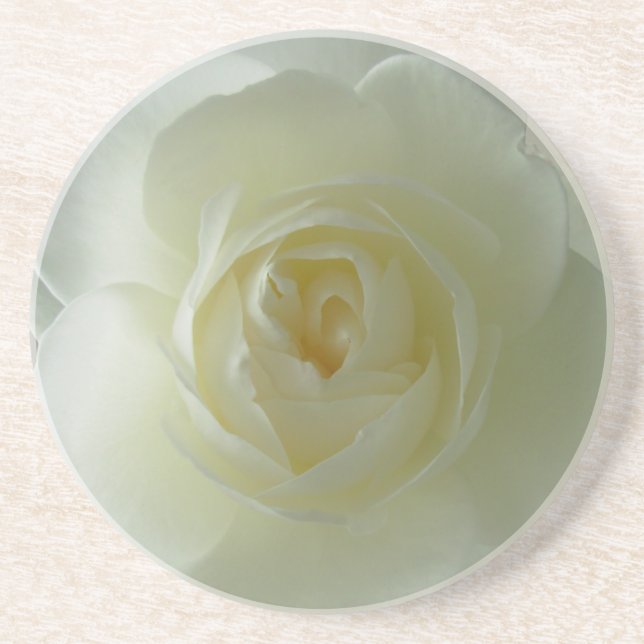 White Rose Untersetzer Sunny Rose gibt Keepake Dec (Vorne)
