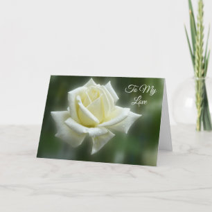 White Rose Valentine Feiertagskarte