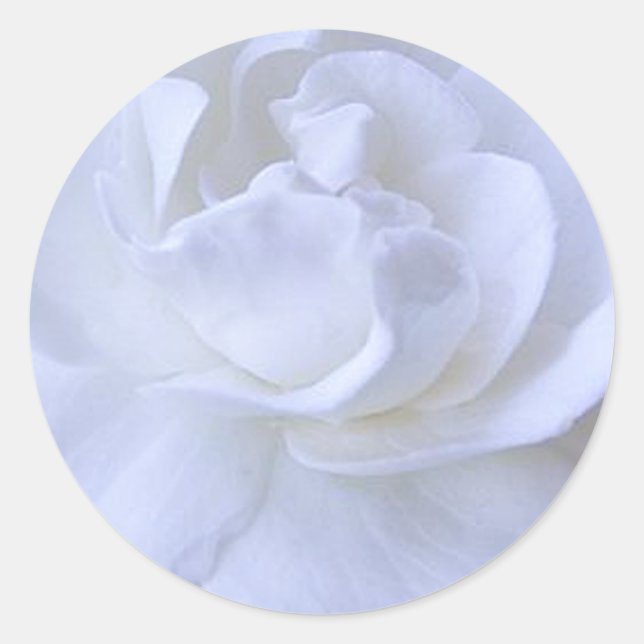 White Rose Wedding Sticker (Vorderseite)