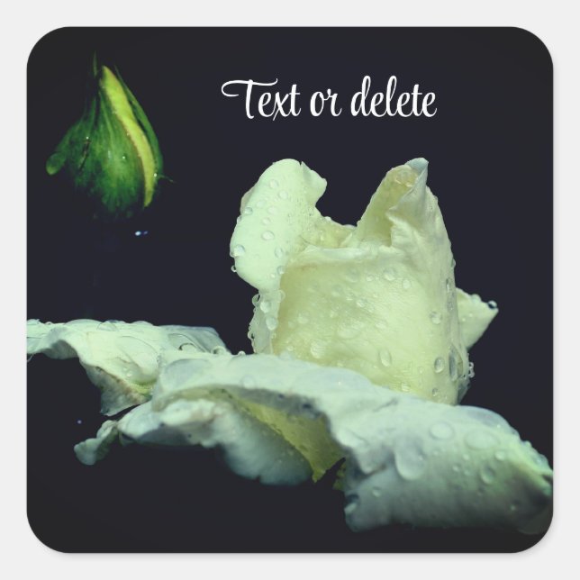 White Rosebud After Rain Personalized Quadratischer Aufkleber (Vorderseite)