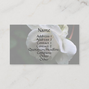 White Rosenknospe Raindrops Floral Business Card Visitenkarte