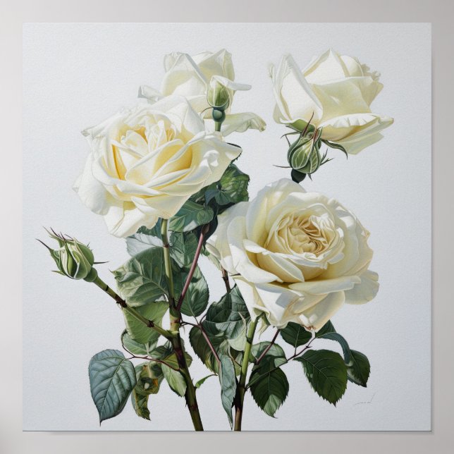 White Roses Blume Art Print Poster (Vorne)