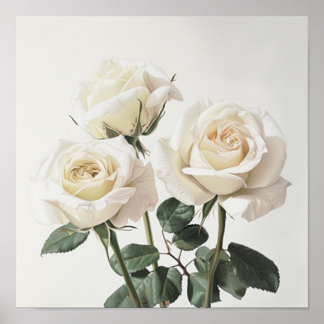 White Roses Blume Art Print Poster (Vorne)