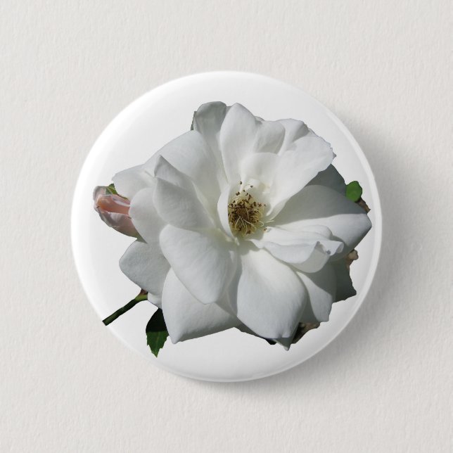 White Roses Party Dusche Hochzeitsblüten Schicksal Button (Vorderseite)