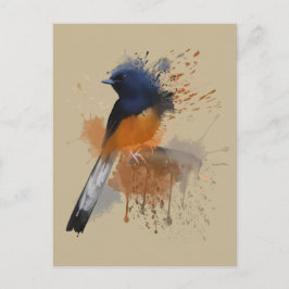 White Rumped Shama Bird Postkarte