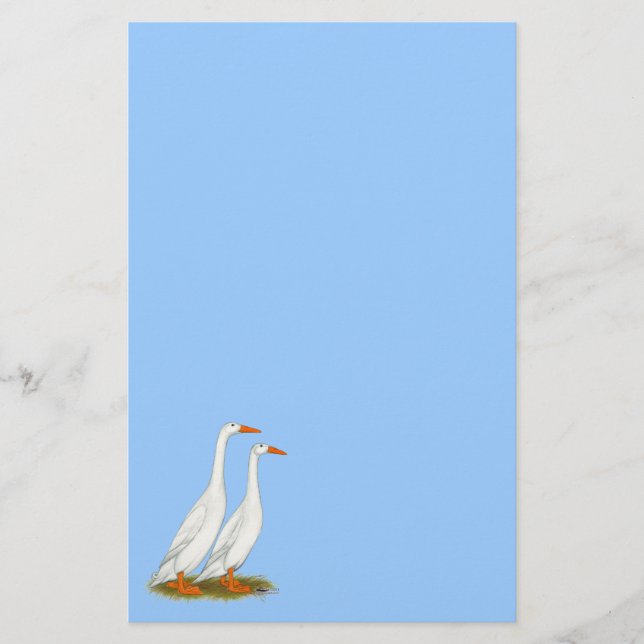 White Runner Ducks Briefpapier (Vorderseite)
