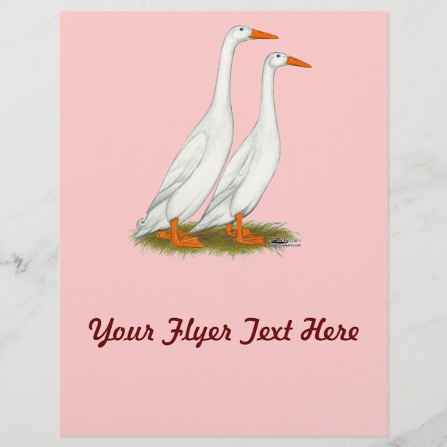 White Runner Ducks Flyer (Vorne)