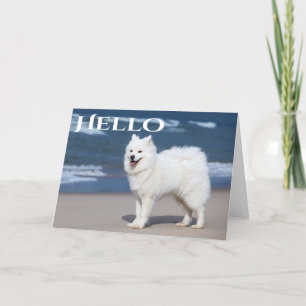White Samoyed Puppy Dog - Hallo, denken Sie an Sie Karte