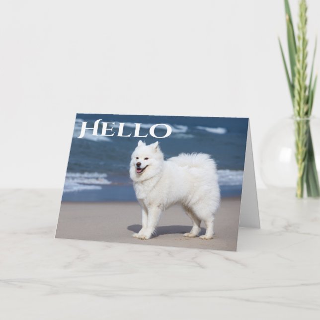 White Samoyed Puppy Dog - Hallo, denken Sie an Sie Karte (Vorderseite)
