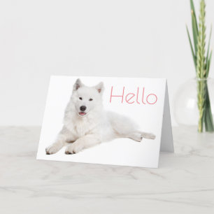 White Samoyed Puppy Dog - Hallo, denken Sie an Sie Karte
