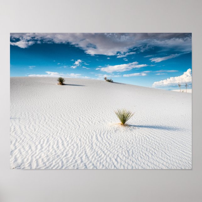 White Sands Blue Sky Yucca, New Mexico Poster (Vorne)
