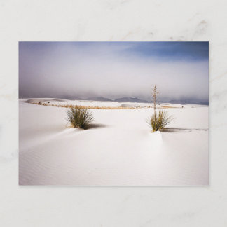 White Sands Morning Postcard Postkarte