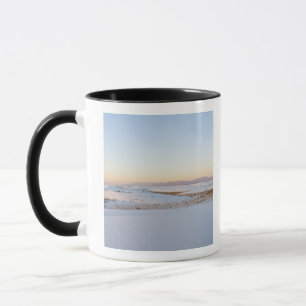 White Sands National Monument, Transversal-Dünen Tasse