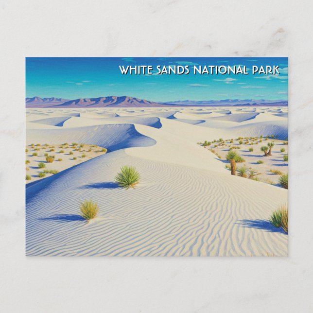 White Sands National Park Souvenir Postkarte (Vorderseite)