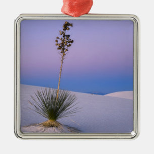WHITE SANDS NATIONALMONUMENT, NEW MEXICO. ORNAMENT AUS METALL