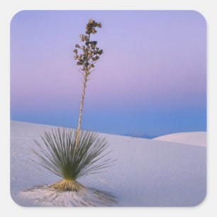 WHITE SANDS NATIONALMONUMENT, NEW MEXICO. QUADRATISCHER AUFKLEBER