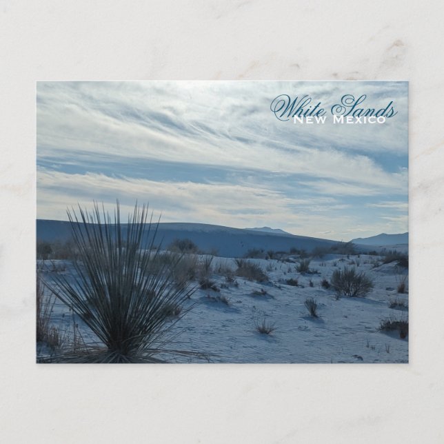 White Sands New Mexico Wüste Südwest Sand Dunes Postkarte (Vorderseite)