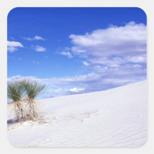 White Sands NM, New Mexico, USA Quadratischer Aufkleber