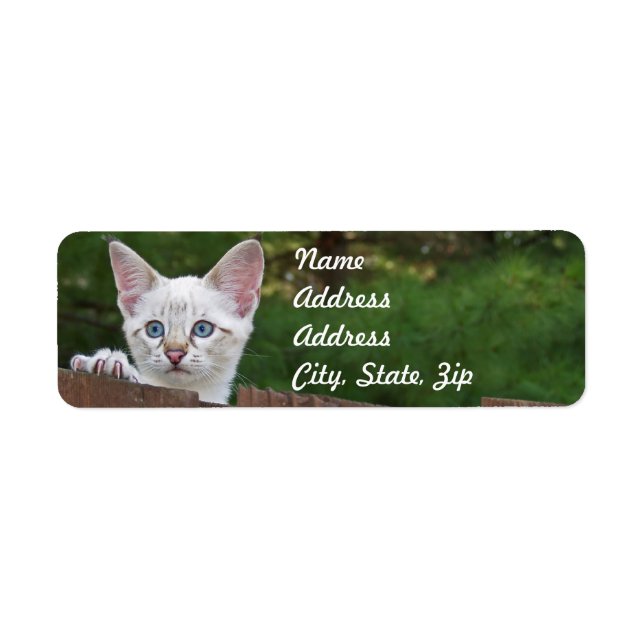 White Savannah Cat Rücksendeadresse Sticker (Vorne)
