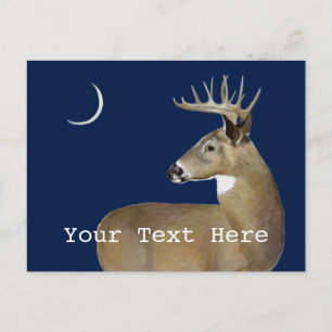 White Schwanz Buck Postkarte