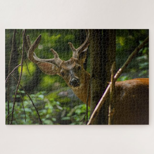 White Schwanz Buck Puzzle (Horizontal)